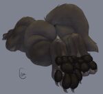  anthro anus big_feet brown_body brown_fur butt canid canine canis claws crito feet fluffy fur lying male mammal nude pawpads paws perineum raised_tail resting resting_on_belly simple_background sleeping solo squish tail were werecanid werecanine werewolf wolf 