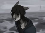  2023 anthro black_hair black_nose blakc_hairt canid canine clothed clothing digital_drawing_(artwork) digital_media_(artwork) ear_piercing eyebrow_through_hair eyebrows fur grey_body grey_fur hair half-length_portrait hi_res hoodie long_hair looking_at_viewer male mammal multicolored_body multicolored_fur piercing portrait r10iwr shirt simple_background solo topwear translucent translucent_hair two_tone_body two_tone_fur unknown_character watermark white_body white_fur 