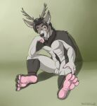  2017 absurd_res animal_genitalia anklet anthro antlers balls bedroom_eyes black_hair black_nose cervine deer elbow_on_knee eye_scar facial_hair facial_scar feet foot_fetish foot_focus full_pad fully_sheathed fur genitals goatee grey_body grey_fur hair hi_res horn jewelry looking_at_viewer male mammal narrowed_eyes neck_tuft orange_eyes paws plantigrade ra&#039;deer scar seductive sheath solo tuft yaoifairy 