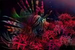  absurdres animal_focus black_background bubble fish fish_request flower highres lionfish no_humans original red_flower spider_lily tainosuke translation_request 