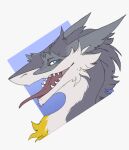  2019 absurd_res anthro blue_background blue_eyes countershading digital_drawing_(artwork) digital_media_(artwork) experimental fur grey_body grey_fur headshot_portrait hi_res icon kel looking_at_viewer mammal markings open_mouth portrait sergal simple_background sketch smile snout solo tan_body tan_fur tongue tongue_out vilous_universe white_background yellow_markings zephra 
