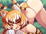  1girl anger_vein animal_ear_fluff animal_ears animal_print ass blush brown_hair copyright_request fang gloves looking_at_viewer multicolored_hair open_mouth orange_gloves orange_hair orange_panties outdoors panties short_hair solo tail tiger_ears tiger_girl tiger_print tiger_tail top-down_bottom-up underwear vadaboob white_hair yellow_eyes 