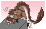  anthro anthro_on_anthro bdsm blush bondage bound brown_body brown_fur brown_hair canid canine canis countershade_face countershade_fur countershade_tail countershading destiny_(milodesty) dildo domestic_dog dominant dominant_female dragon duo english_text erection female fur furred_dragon genitals hair husky husky_(husky_hangover) interspecies male male/female mammal milodesty nordic_sled_dog penis sex_toy spitz strapon submissive submissive_male tail text 