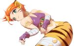  1girl animal_ears breasts breath_of_fire breath_of_fire_ii bustier cat_ears closed_mouth facial_mark gloves green_eyes ooo orange_hair pointy_ears rinpoo_chuan short_hair simple_background solo white_background 