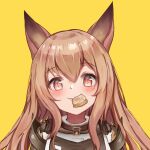  1girl animal_ears arknights brown_eyes brown_hair ceobe_(arknights) closed_mouth dog_ears dog_girl facing_viewer food food_in_mouth hair_between_eyes highres jacket light_blush long_hair looking_at_viewer nalphanne simple_background smile solo yellow_background 