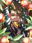  1boy absurdres achilles_(fate) apple apple_juice bitten_apple black_shirt branch brown_eyes fate/apocrypha fate_(series) food food_bite fruit golden_apple haruakira highres holding holding_food holding_fruit imminent_bite juice leaf male_focus red_apple ribbed_shirt shirt short_hair solo teeth undercut upper_teeth_only 