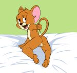  andromorph anthro butt crossgender female genitals intersex jerry_mouse mammal metro-goldwyn-mayer mouse mta_crossgender mtf_crossgender mti_crossgender murid murine presenting presenting_hindquarters presenting_pussy pussy rodent solo tabloi tail tom_and_jerry 