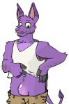  anonymous_artist anthro bori_(neopets) clothing inflatable jumpstart_games male neopet_(species) neopets null_bulge pool_toy shirt solo tank_top topwear transformation 