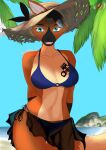  anthro beach bikini blackreaper_bk201 blue_eyes canid canine canis clothing female hat headgear headwear hi_res invalid_tag mammal palm_tree plant sand sea seaside smile solo straw_hat swimwear torgue tree water wolf 