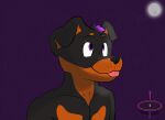  absurd_res anthro black_body black_fur canid canine canis digital_drawing_(artwork) digital_media_(artwork) domestic_dog fur hi_res male mammal mastiff molosser moon purple_eyes quasar_(artist) rory_(disambiguation) rottweiler shaded solo star tongue tongue_out 