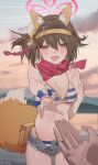 1boy 1girl animal_ears bikini blue_archive blurry blurry_background bracelet breasts brown_hair chilakkk cleavage cowboy_shot fang fox_ears fox_tail halo highres izuna_(blue_archive) izuna_(swimsuit)_(blue_archive) jewelry looking_at_viewer medium_breasts navel official_alternate_costume outdoors pov pov_hands reaching reaching_towards_viewer red_scarf scarf skin_fang striped striped_bikini swimsuit tail twitter_username visor_cap 