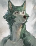  2023 anthro beastars brown_eyes canid canine canis eyebrows fur grey_background grey_body grey_fur headshot_portrait hi_res legoshi_(beastars) male mammal multicolored_body multicolored_fur nude painterly portrait signature simple_background solo taran_fiddler tuft two_tone_body two_tone_fur whiskers wolf 