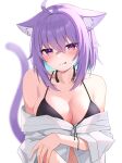  1girl absurdres ahoge animal_collar animal_ear_fluff animal_ears aqua_hair black_bra black_collar blush bra breasts cat_ears cat_girl cat_tail cleavage collar collarbone colored_inner_hair crossed_bangs hair_between_eyes highres hololive large_breasts licking_lips looking_at_viewer micon multicolored_hair nekomata_okayu off-shoulder_shirt off_shoulder purple_eyes purple_hair shirt short_hair solo tail tongue tongue_out underwear virtual_youtuber white_shirt 