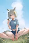  1girl bare_arms bare_legs barefoot blue_eyes blue_shirt blue_sky blurry blurry_foreground blush bug butterfly butterfly_on_hand butterfly_sitting choker closed_mouth cloud crossed_bangs cutoffs day flower grass grey_hair hair_between_eyes hair_flower hair_ornament hand_up highres horse_girl looking_at_viewer midriff on_grass outdoors seiun_sky_(umamusume) shirt short_hair short_shorts short_sleeves shorts side-tie_shirt sitting sky smile soles solo t-shirt toenails toes umamusume white_flower yellow_flower zhaimao_mao 