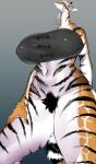  anthro big_breasts blonde_hair bottomless bra breasts clothed clothing felid female fur giraffe giraffid hair hi_res horn huge_breasts hybrid kemono long_neck low-angle_view mammal orange_body orange_fur ossicone pantherine pubes sirn_0121 solo striped_body striped_fur stripes thick_thighs tiger topwear underwear white_body white_fur 