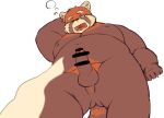  2023 ailurid anthro balls belly brown_body erection genitals humanoid_hands k_gutless kemono male mammal moobs nipples one_eye_closed overweight overweight_male penis red_panda solo tired 