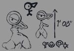  breasts chart female generation_2_pokemon group height_chart humanoid male male/female nintendo penetration pokemon pokemon_(species) short_stack sketch solo solo_focus thatguynamedjoe thick_thighs unown_(pokemon) unown_c unown_f unown_k unown_u 