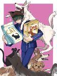  &gt;_&lt; 1boy animal_ears animal_hat black_cat blue_jacket blue_pants box brown_headwear cat closed_mouth commentary_request dog fake_animal_ears frown glasses green_hair hat highres holding holding_box jacket kaikaikiki4383 long_sleeves male_focus master_detective_archives:_rain_code one_eye_closed pants pet_food red_eyes round_eyewear short_hair solo standing too_many zilch_alexander 