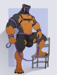  anthro biped bulge canid canine canis chair claws clothing collar domestic_dog finger_claws fullbodywolf fur furniture hi_res leash leashed_collar looking_at_viewer male mammal mask mastiff molosser mostly_nude muscular muscular_anthro muscular_male navel rottweiler simple_background solo toe_claws underwear 