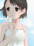  1girl absurdres asymmetrical_bangs bare_shoulders black_hair blush cloud collarbone dress floating_hair flower highres holding holding_flower idolmaster idolmaster_cinderella_girls looking_to_the_side olive_(piiiino965) outdoors sasaki_chie short_hair sleeveless sleeveless_dress solo upper_body 