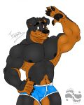  abs anthro boxer_briefs bulge canid canine canis clothing domestic_dog gesture hi_res male mammal mastiff molosser muscular pecs rottweiler solo tripps underwear waving yamatopawa 