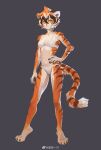  1girl absurdres arknights arm_at_side bra breasts claws closed_mouth collarbone feijio_yizhi full_body furry furry_female grey_background hair_between_eyes hand_on_own_hip highres looking_at_viewer medium_breasts multicolored_hair navel orange_eyes pants short_hair solo standing tiger_girl underwear waai_fu_(arknights) weibo_logo white_bra white_pants 