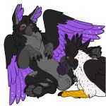  4_toes balls beak black_body blush duo feathered_wings feathers feet genitals knot paws penis purple_eyes symrea talons telegram_sticker toes white_body wings yellow_eyes 