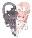  alternate_species blush domestic_cat duo felid feline felis female feral feralized furrification hi_res homura_akemi kemono kissing_cheek kuro_chromium madoka_kaname mahou_shoujo_madoka_magica mammal puella_magi tails_touching 