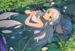  1boy 1girl absurdres afloat blue_eyes blue_hair bug butterfly closed_mouth different_reflection dress earrings flower frieren green_eyes highres himmel_(sousou_no_frieren) jewelry lily_pad long_hair lying on_back open_mouth partially_submerged petals pointy_ears reflection see-through see-through_dress smelling_flower smile solo sousou_no_frieren toga water_lily_flower white_hair xuya2333 