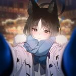  1girl alternate_costume animal_ears black_eyes black_hair blue_archive blue_gloves blue_scarf blurry blurry_background blush cat_ears cat_girl coat depth_of_field duffel_coat embarrassed frown gloves halo head_tilt highres kikyou_(blue_archive) long_sleeves looking_at_viewer meme outdoors outstretched_arms pov_cheek_warming_(meme) raki_kr reaching reaching_towards_viewer scarf short_hair sidelocks solo sparkle 