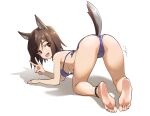  1girl absurdres all_fours animal_ears anklet ass barefoot bikini blue_bikini breasts brown_eyes brown_hair dog_ears dog_girl dog_tail feet from_behind full_body halterneck hanging_breasts highres jewelry kuroda_kunika looking_at_viewer looking_back medium_breasts mmmalice noble_witches open_mouth short_hair signature smile soles solo swimsuit tail top-down_bottom-up v white_background world_witches_series 