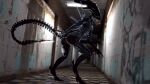  3d_(artwork) alien alien_(franchise) anthro butt digital_media_(artwork) female hi_res saimon sharp_teeth solo source_filmmaker tail teeth xenomorph xenomorph_queen 