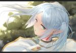  1girl animal_ears blurry depth_of_field elf frieren from_behind green_eyes grey_hair highres kuroneko13x long_hair looking_at_viewer looking_back pointy_ears solo sousou_no_frieren tree twintails upper_body 