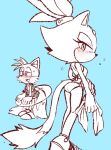  1boy 1girl animal_ears blaze_the_cat blue_background blush cat_ears cat_girl cat_tail eyelashes fox_boy fox_ears fox_tail furry furry_female furry_male innertube looking_back misuta710 ponytail simple_background sketch sonic_(series) swimsuit tail tails_(sonic) 