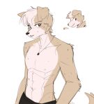  427deer absurd_res anthro bottomwear canid canine canis clothed clothing domestic_dog hair hi_res jack_crossman jewelry looking_at_viewer male mammal muscular muscular_male necklace pants partially_clothed pulling_pants_down shirtless solo tail ventura_city_drifters 