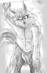  &lt;3 anthro aren_ace_armmen babyaren brass_instrument bugle canid canine canis claws clothing fursuit_head genitals growling human humanoid jacket looking_at_viewer male mammal monochrome muscular muscular_male musical_instrument penis sagging_pants sketch solo tail tail_motion tailwag topwear wind_instrument wolf 