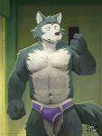  anthro beastars beer_belly blue_body blue_fur body_hair canid canine canis cellphone chest_hair clothed clothing countershading erection erection_under_clothing fluffy fluffy_tail fur hi_res legoshi_(beastars) male mammal multicolored_body multicolored_fur murkytoast musclegut phone selfie smartphone solo tail underwear white_body white_countershading white_fur wolf 