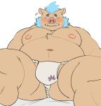  2023 anthro asian_clothing belly big_belly blue_hair blush bulge clothing east_asian_clothing fundoshi gouryou hair hi_res japanese_clothing kemono lifewonders male mammal moobs navel nipples overweight overweight_male simple_background sitting solo suid suina sus_(pig) tokyo_afterschool_summoners underwear white_background white_clothing white_fundoshi white_underwear whitebeast20 wild_boar 