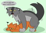  anal anal_penetration angry ass_up deadingdog dialogue domestic_cat duo ears_down felid feline felis feral feral_on_feral firestar_(warriors) graystripe_(warriors) hi_res jealous looking_at_another male male/male mammal motion_lines penetration pivoted_ears raised_tail sex tail warriors_(cats) 