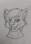  anthro canid canine canis headshot_portrait hi_res mammal portrait rowanzero solo wolf 