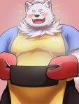  absurd_res anthro apron bandage bandage_on_face belly blush canid canine canis clothing cooking_pot domestic_dog fur handwear hi_res lifewonders live_a_hero male mammal nordic_sled_dog oven_mitts overweight samoyed smile solo spitz steam white_body white_fur xizioix_210 yohack 
