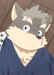  anthro asian_clothing blush canid canine canis clothing domestic_dog east_asian_clothing eyebrows fur grey_body grey_fur japanese_clothing kimono lifewonders looking_at_viewer male mammal moritaka ren_izayoi scar solo thick_eyebrows tokyo_afterschool_summoners 
