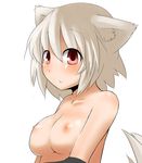  animal_ears bad_id bad_pixiv_id breasts inubashiri_momiji large_breasts nipples nude red_eyes short_hair silver_hair solo tail touhou upper_body wk_(low-f) wolf_ears wolf_tail 