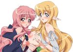  2girls blonde_hair blue_eyes blush breasts bridal_gauntlets elf highres huge_breasts kasuga_souichi long_hair louise_francoise_le_blanc_de_la_valliere midori_kouichi multiple_girls pink_eyes pink_hair pointy_ears tiffania_westwood zero_no_tsukaima 