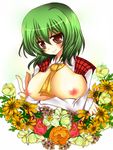  between_breasts breasts flower green_hair kazami_yuuka large_breasts maru_itsuki nipples open_clothes open_shirt red_eyes shirt short_hair smile solo touhou 