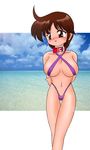  artist_request blush breasts character_request cleavage collar cute large_breasts pretzel_bikini source_request swimsuit 
