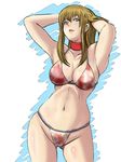  adjusting_hair armpits arms_up bikini breasts butcha-u cleavage dead_or_alive groin hitomi_(doa) large_breasts looking_at_viewer navel solo string_bikini swimsuit 