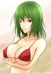  bikini breasts green_hair kazami_yuuka large_breasts plaid red_eyes short_hair shuugetsu_karasu solo swimsuit touhou 