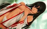  black_hair blue_eyes breasts cleavage duplicate highres japanese_clothes large_breasts long_hair long_sleeves navel non-web_source queen's_blade solo tomoe wallpaper 