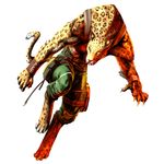  bloody_roar monster shina_the_leopard tagme 